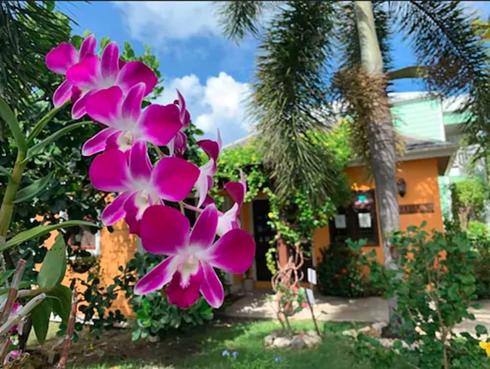 Buccaneer Beach Club Dickenson Bay エクステリア 写真