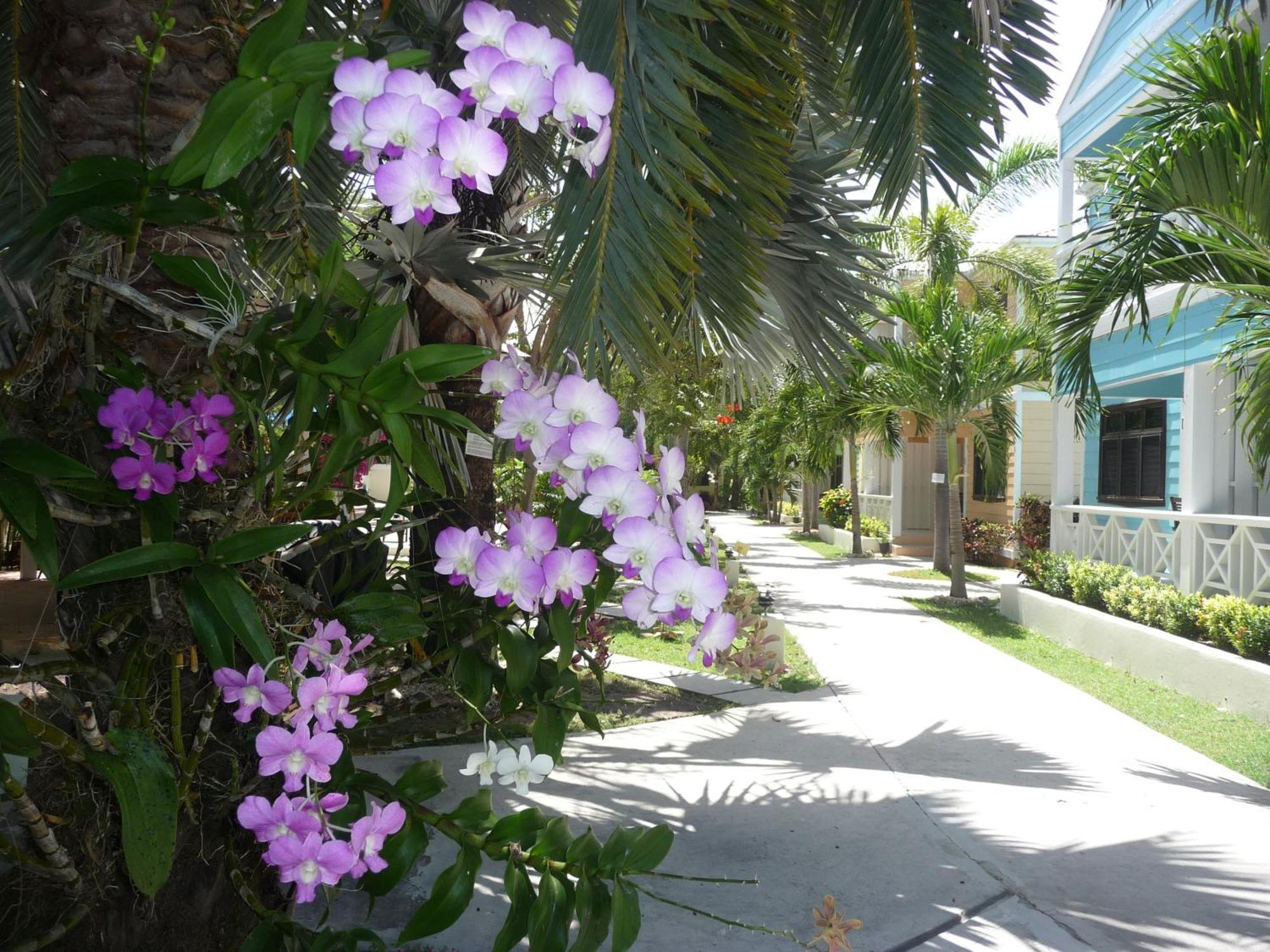 Buccaneer Beach Club Dickenson Bay エクステリア 写真