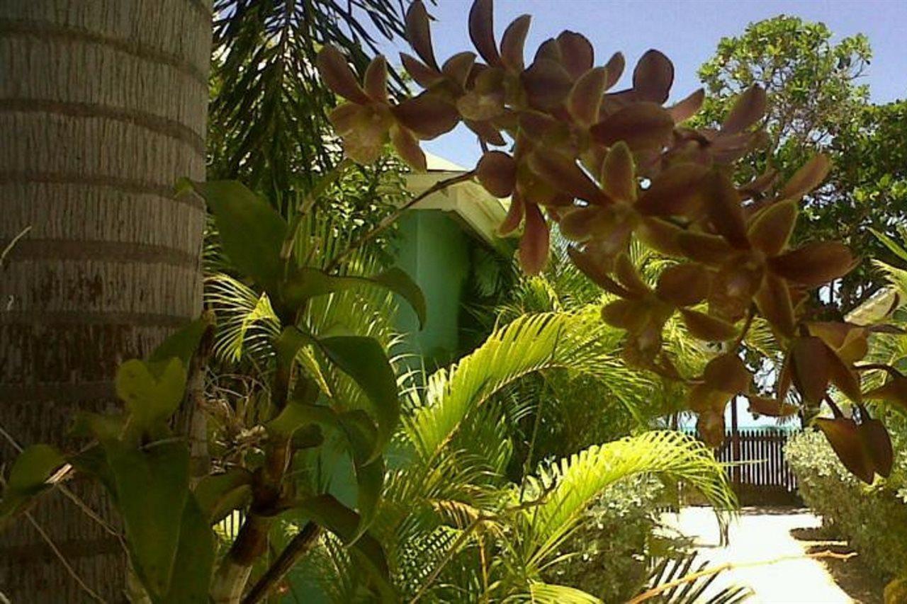 Buccaneer Beach Club Dickenson Bay エクステリア 写真