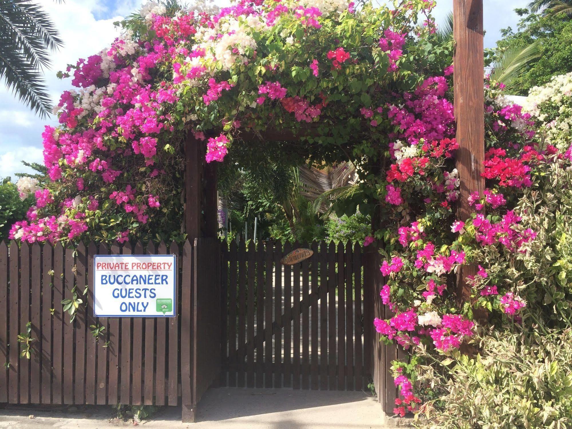 Buccaneer Beach Club Dickenson Bay エクステリア 写真