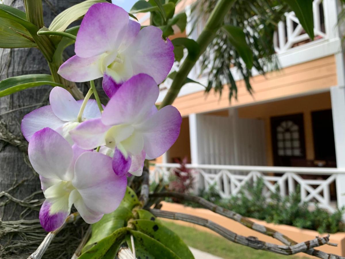 Buccaneer Beach Club Dickenson Bay エクステリア 写真
